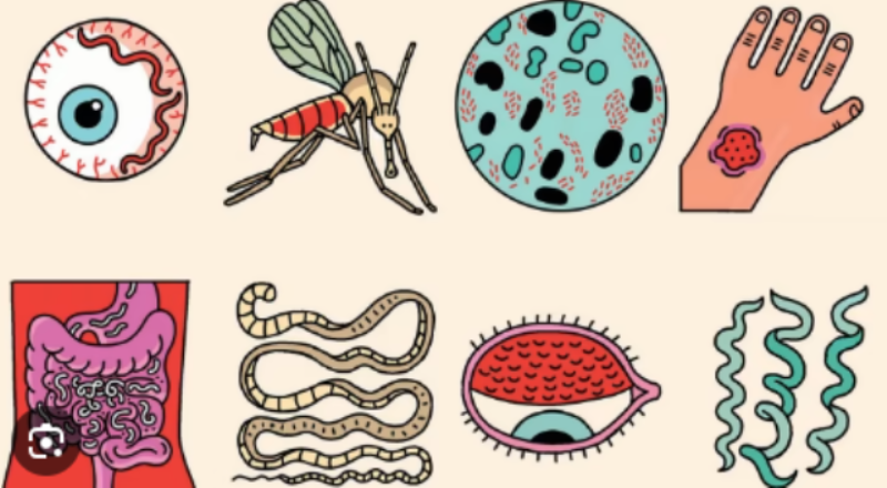 Rwanda Vows to Eliminate Neglected Tropical Diseases in 6 Years
