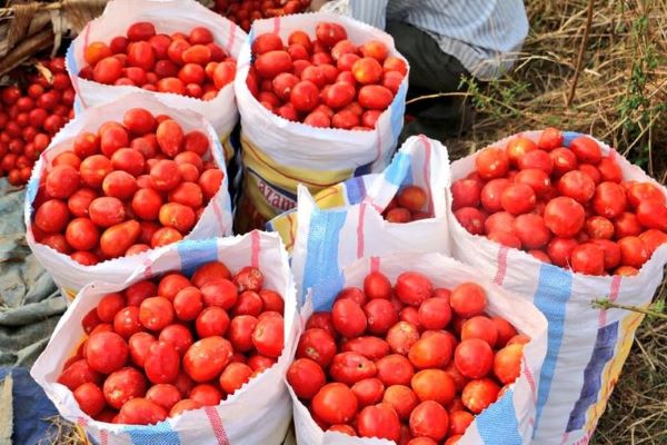 Senate Pushes for Strategic Budget Shift to Boost Agriculture, Youth and Private Sector